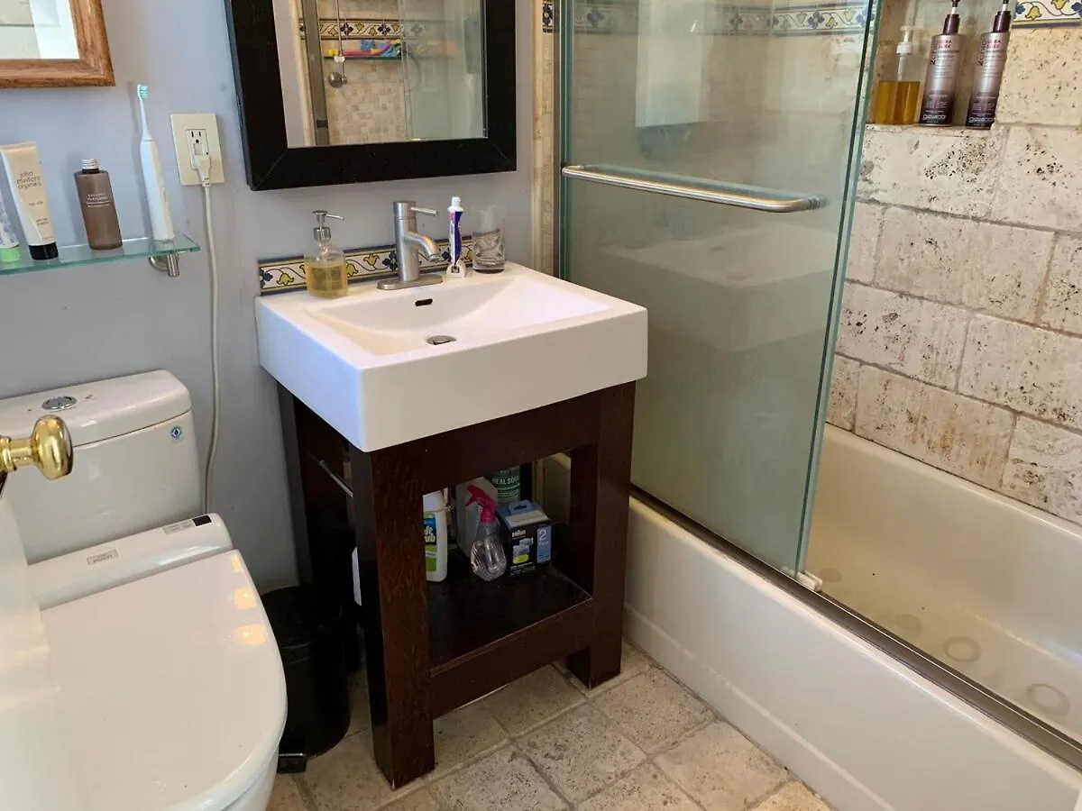 Airy Brownstone Penthouse Duplex Near Central Park نيو يورك